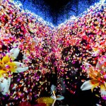 Pado Media Art Space Ticket · Pattaya