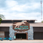 บัตรเข้าชมผจญภัยโลกล้านปีกับ Pattaya Dinosaur Kingdom ชมหุ่นยนต์ไดโนเสาร์หลากหลายสายพันธุ์เหมือนมีชีวิต,พัทยา