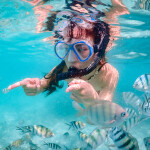 One Day Trip : ดำน้ำชมปลาการ์ตูน ถ่ายรูปใต้น้ำ แสมสาร + อาหารกลางวัน + รถรับส่งจากกรุงเทพ-พัทยา-แสมสาร