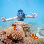 One Day Trip : ดำน้ำชมปลาการ์ตูน ถ่ายรูปใต้น้ำ แสมสาร + อาหารกลางวัน + รถรับส่งจากกรุงเทพ-พัทยา-แสมสาร