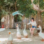 [From Chonburi] Water Activities at Larn Island (Tien Beach) with transfer