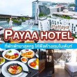 Payaa hotel (โรงแรมพาญา พัทยา) ห้อง Deluxe 2 ท่าน, พัทยา