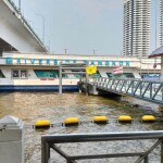 Riverside Buffet Lunch Cruise