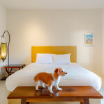 Sanae Beach Huahin (เสน่ห์ บีช หัวหิน) ห้อง Garden View 2 ท่าน, หัวหิน