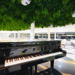 Sawasdee Chaophraya Dinner Cruise in Bangkok [ICONSIAM Pier]