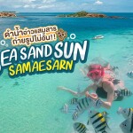 ทริปดำน้ำแสมสาร เรือสปีดโบ้ท (เหมาลำ) สำหรับ 1-6 ท่าน , สัตหีบ ชลบุรี