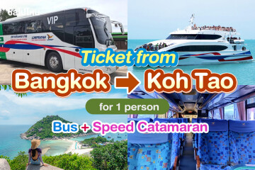 [From Bangkok] Bus + Speed Catamaran : One way ticket from Bangkok to Koh Tao, for 1 person