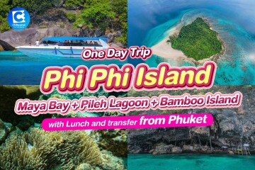 [From Phuket] Speed Boat : One Day Trip Phi Phi Island + Maya Bay + Pileh Lagoon + Bamboo Island with 2 meals and transfer