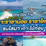 เรือสปีดโบ๊ท One Day Trip ทัวร์เกาะราชาน้อย-ราชาใหญ่ ชมโลมา เกาะไม้ท่อน + อาหารกลางวัน + รถรับ-ส่ง, ภูเก็ต