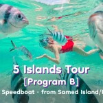 5 Islands Tour · Join-in Speedboat · from Samed Island/Rayong [Program B]