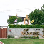 One Day Trip (จอยทริปB) : ดำน้ำ เกาะกุฎี-เกาะขาม-เกาะกรวย-เกาะถ้ำค้างคาว-เกาะปลายตีน, เกาะเสม็ด,ระยอง