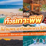 One Day Trip ทัวร์เกาะพีพี-เกาะไผ่-ชมพระอาทิตย์ตกเกาะไม้ท่อน โดย เรือ Speed Catamaran+รถรับ-ส่ง สำหรับ 1 ท่าน, ภูเก็ต