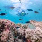 One Day Trip at Samae San by Speedboat (Join Tour) Sattahip, Chonburi
