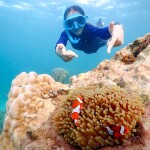 One Day Trip at Samae San by Speedboat (Join Tour) Sattahip, Chonburi