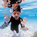 ทริปดำน้ำแสมสาร เรือสปีดโบ้ท (จอยทริป) สัตหีบ ชลบุรี