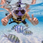 ทริปดำน้ำแสมสาร เรือสปีดโบ้ท (เหมาลำ) สำหรับ 1-6 ท่าน, สัตหีบ ชลบุรี