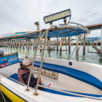 One Day Trip ล่องเรือไม้ Sea View ดำน้ำอ่าวแสมสาร เล่นน้ำ ทานอาหารซีฟู้ด ขึ้นเที่ยวบนเกาะ (เหมาลำ6-12ท่าน)