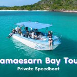 Samaesarn Bay Tour · Private Speedboat