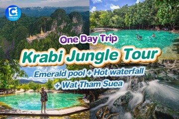 One Day Trip : Krabi Jungle Tour (Emerald pool + Hot waterfall + Wat Tham Suea), Krab