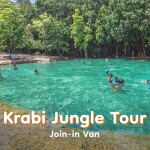 Krabi Emerald Pool, Hot Spring & Tiger Cave Temple Tour · Join-in Van