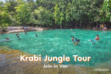 Krabi Emerald Pool, Hot Spring & Tiger Cave Temple Tour · Join-in Van