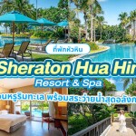 Sheraton Hua Hin Resort and Spa (เชอราตัน หัวหิน รีสอร์ทแอนด์สปา หัวหิน) ห้อง Garden Room 2 ท่าน, หัวหิน