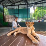 Siri Park & Zoo (ศิริพาร์ค แอนด์ ซู) บัตรเข้าชมสวนเสือศรีราชา สวนสัตว์ที่ครอบครัวพาเด็กๆไปสนุกกับสัวต์ต่างๆ ,ชลบุรี