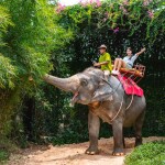 Siri Park & Zoo (ศิริพาร์ค แอนด์ ซู) บัตรเข้าชมสวนเสือศรีราชา สวนสัตว์ที่ครอบครัวพาเด็กๆไปสนุกกับสัวต์ต่างๆ ,ชลบุรี