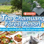 The Chamuang Forest (นายหัวคาเฟ่) ห้อง One Bedroom Pool Villa 2 ท่าน นครนายก