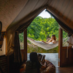 The Elephant Treehouse (บ้านต้นไม้) ห้อง Splendid River Camp 2 ท่าน กาญจนบุรี