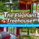 The Elephant Treehouse (บ้านต้นไม้) ห้อง Splendid River Camp 2 ท่าน กาญจนบุรี