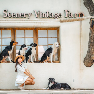 บัตรเข้าฟาร์ม The Scenery Vintage Farm : COMBO200 คูปองซุ้มเกม+คูปองแลกหญ้า+คูปองแลกขนม