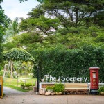 บัตรเข้าฟาร์ม The Scenery Vintage Farm : COMBO250 คูปองซุ้มเกม+คูปองแลกหญ้า+คูปองแลกขนม+คูปองป้อนนม+คูปองนั่งม้าหมุน