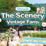 The Scenery Vintage Farm (เดอะ ซีเนอรรี่ วินเทจ ฟาร์ม) Jacuzzi villa หรือ Bath-tub gardener villa ฟรี บัตรกิจกรรม 2 ท่าน, สวนผึ้ง