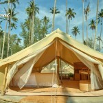 The Survival BY SEUDAM in South Beach , เกาะกูด