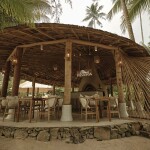 The Survival BY SEUDAM in South Beach , เกาะกูด