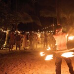 The Survival BY SEUDAM in South Beach , เกาะกูด