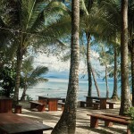 The Survival BY SEUDAM in South Beach , เกาะกูด