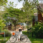 The Tree Riverside Kaeng Krachan (เดอะทรี ริเวอร์ไซด์ รีสอร์ท) ห้อง Superior 2 ท่าน ,แก่งกระจาน
