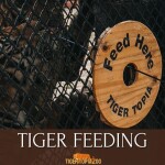 บัตรเข้าชมสวนเสือ Tiger Topia Zoo ศรีราชา 1 ท่าน, ศรีราชา