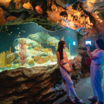 บัตรเข้าชม Underwater World Pattaya สำหรับ 1 ท่าน, พัทยา