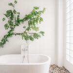 Villa De Leaf River Kaeng Krachan (วิลล่า เดอ ลีฟ ริเวอร์ แก่งกระจาน) ห้อง Luxury 2 ท่าน , แก่งกระจาน