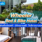 Wheeler Bed & Bike Hotel (วีลเลอร์ เบด แอนด์ ไบค์ โฮเต็ล) ห้อง Biker Bed 2 ท่าน , บางแสน