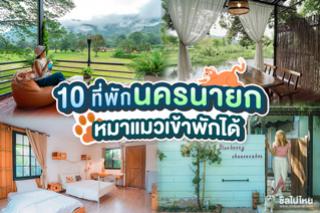 10 ที่พักนครนายก ต้อนรับสัตว์เลี้ยง หมาแมวเข้าพักได้