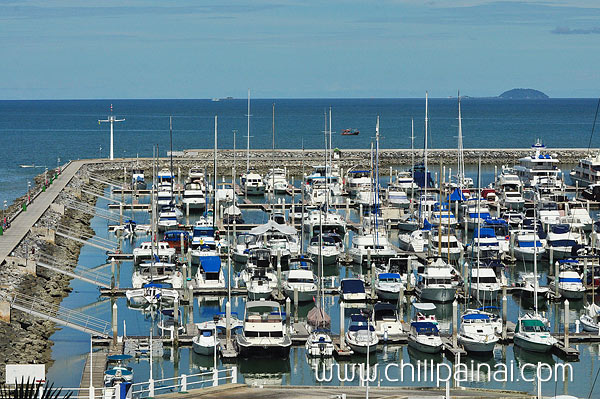 โอเชี่ยน มาริน่า ยอชท์คลับ พัทยา : Ocean Marina Yacht Club Pattaya