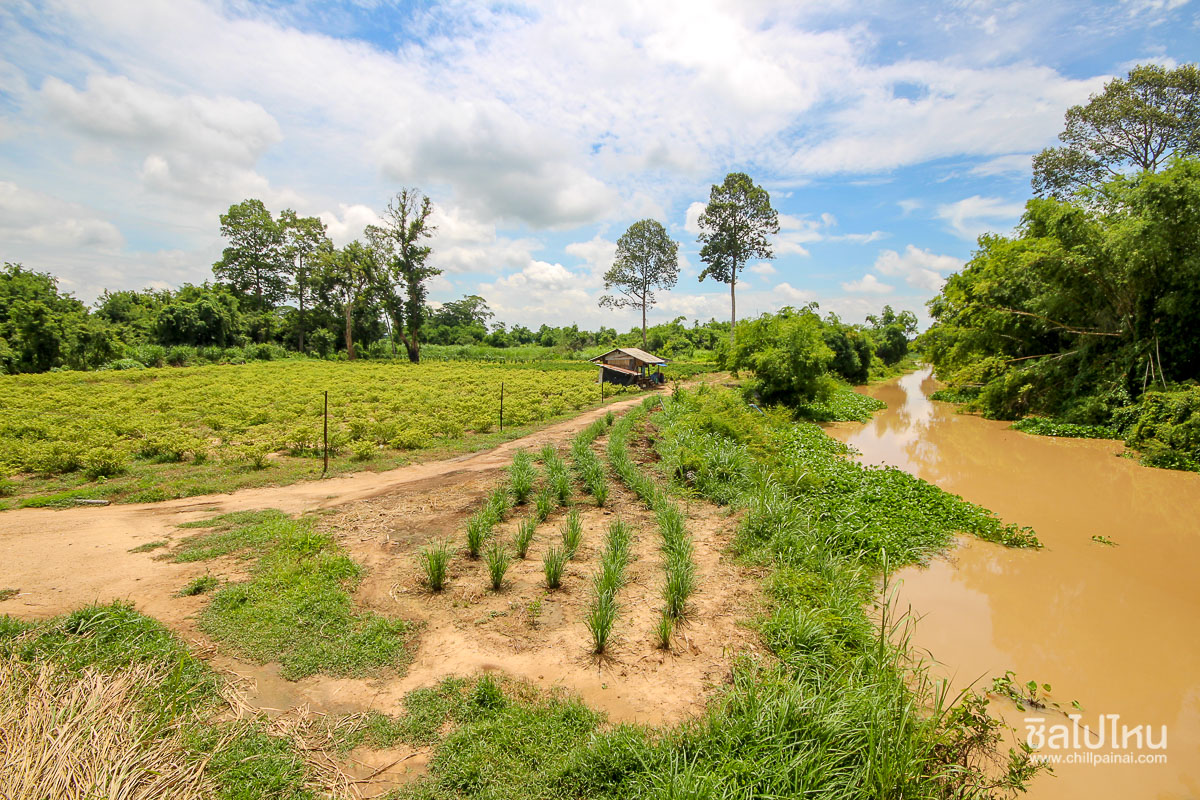 สะพานแขวนเกาะเทโพ  -  อ.เมือง จ.อุทัยธานี