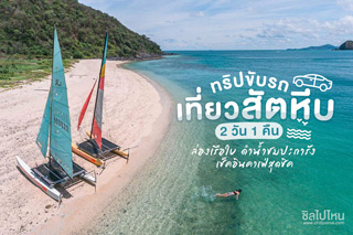 ทริปเที่ยวสัตหีบ 2 วัน 1 คืน ล่องเรือใบ ดำน้ำชมปะการัง เช็คอินคาเฟ่สุดชิค 