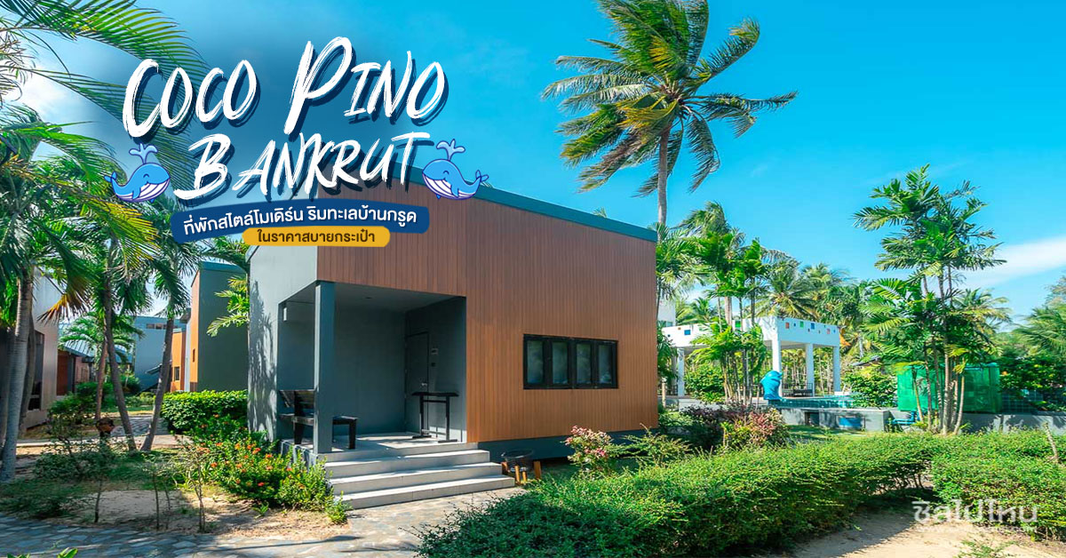 Coco Pino Bankrut ที่พักสไตล์โมเดิร์น ริมทะเลบ้านกรูด ในราคาสบายกระเป๋า -  ชิลไปไหน