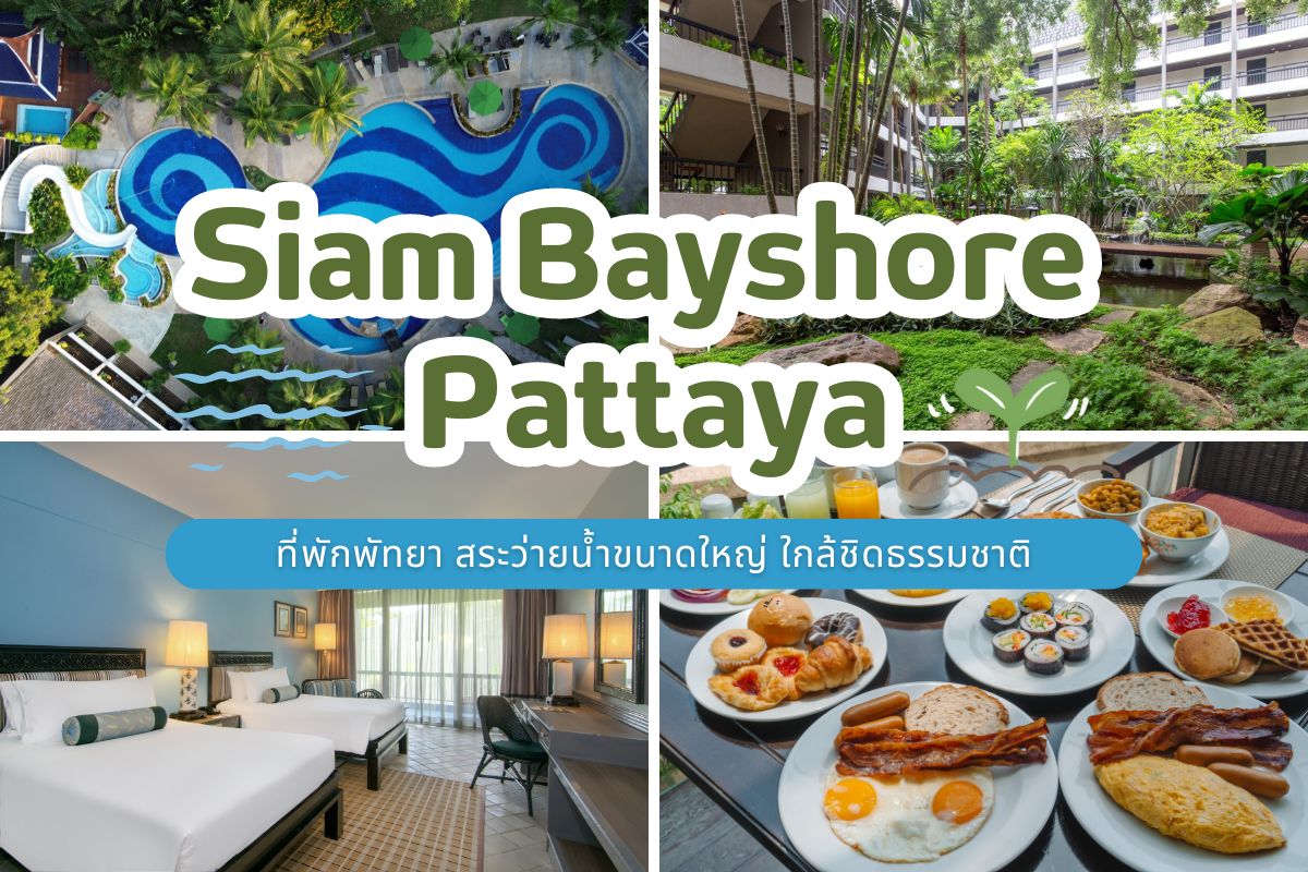 Siam Bayshore Pattaya (สยามเบย์ชอร์ พัทยา) ห้อง Tropical Superior Room 2 ท่าน ,พัทยา