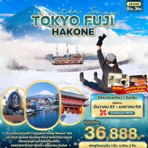 Winter Snow FUJI TOKYO NARITA HAKONE 5วัน3คืน